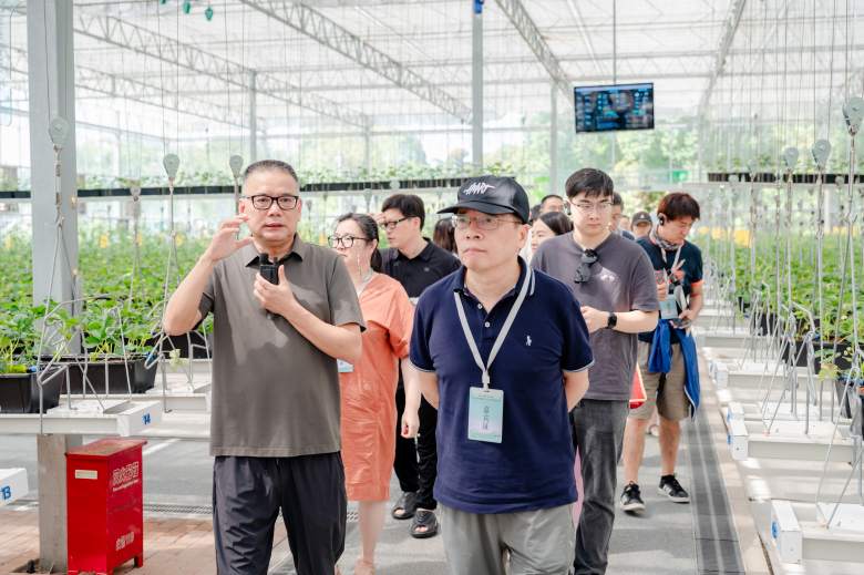 太美了！2025世界溫州人文藝家赴楠溪江創(chuàng)作采風紀實